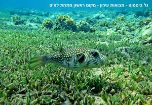 Photography Competition:The Sea from Above & Below