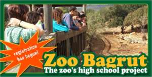 The Zoo Bagrut Scientific Research Program