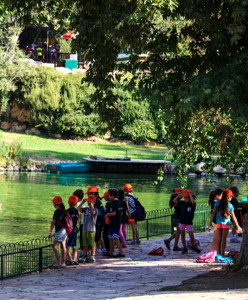 Education as a Bridge Between Communities