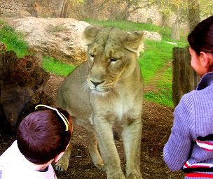 Education as a Bridge Between Communities