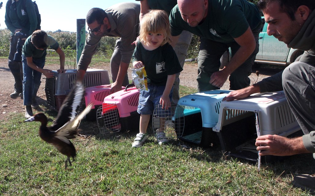 Education as a Bridge Between Communities