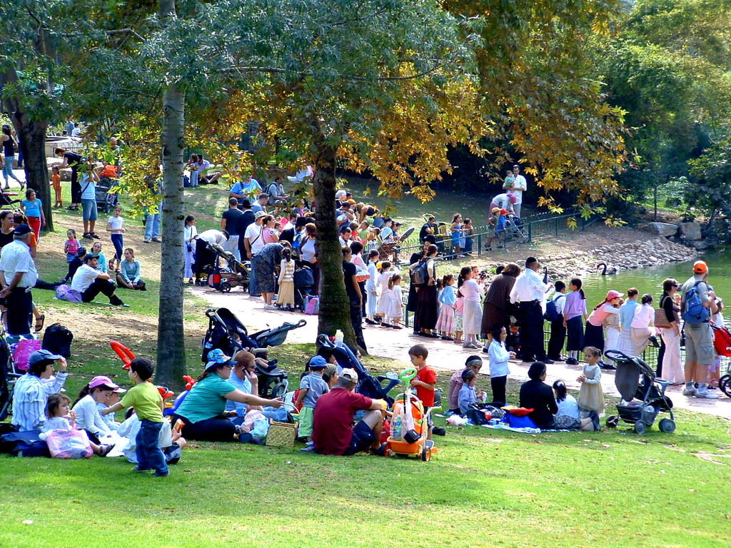 Education as a Bridge Between Communities