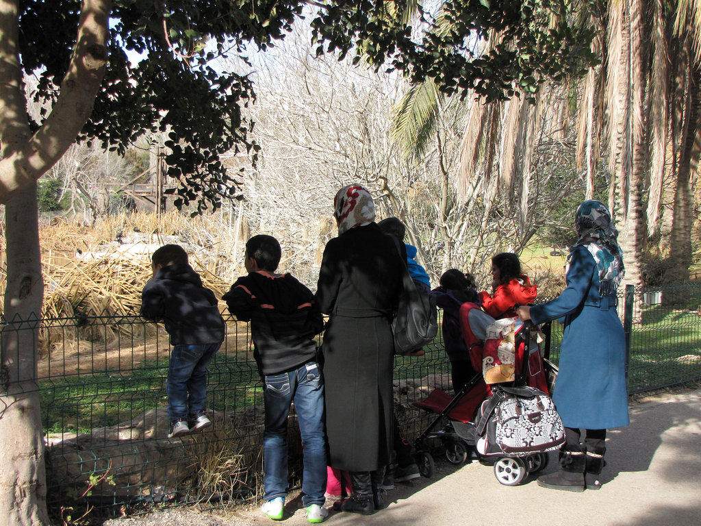 Education as a Bridge Between Communities