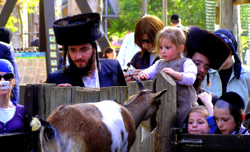 Education as a Bridge Between Communities