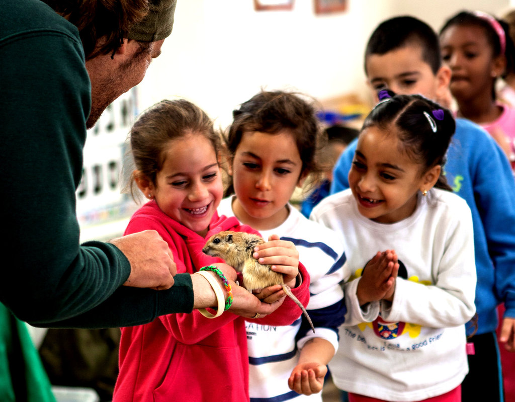 Education as a Bridge Between Communities