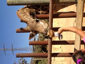 Guided Animal Feedings