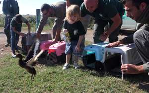 Engaging the Public in Conservation Programs