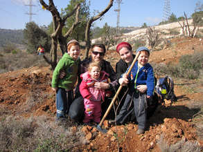 Tree Planting