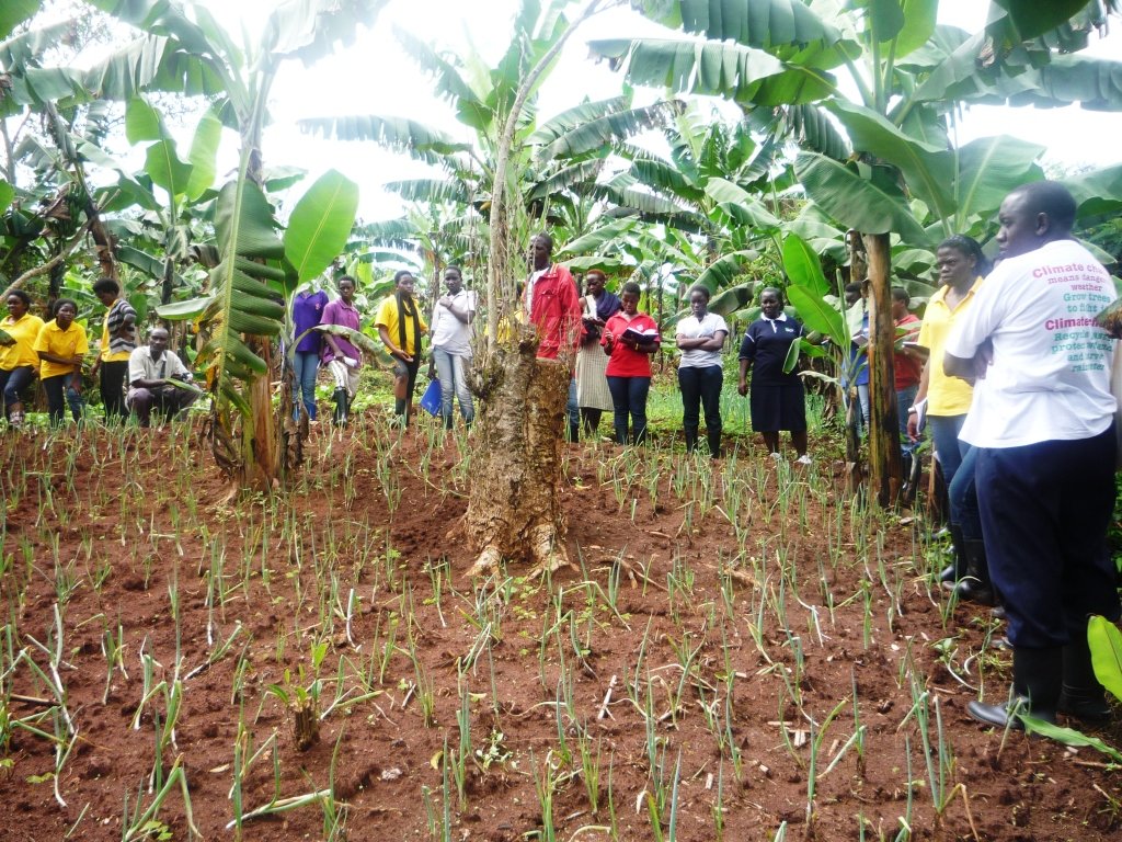 Support students in Uganda create an e-library