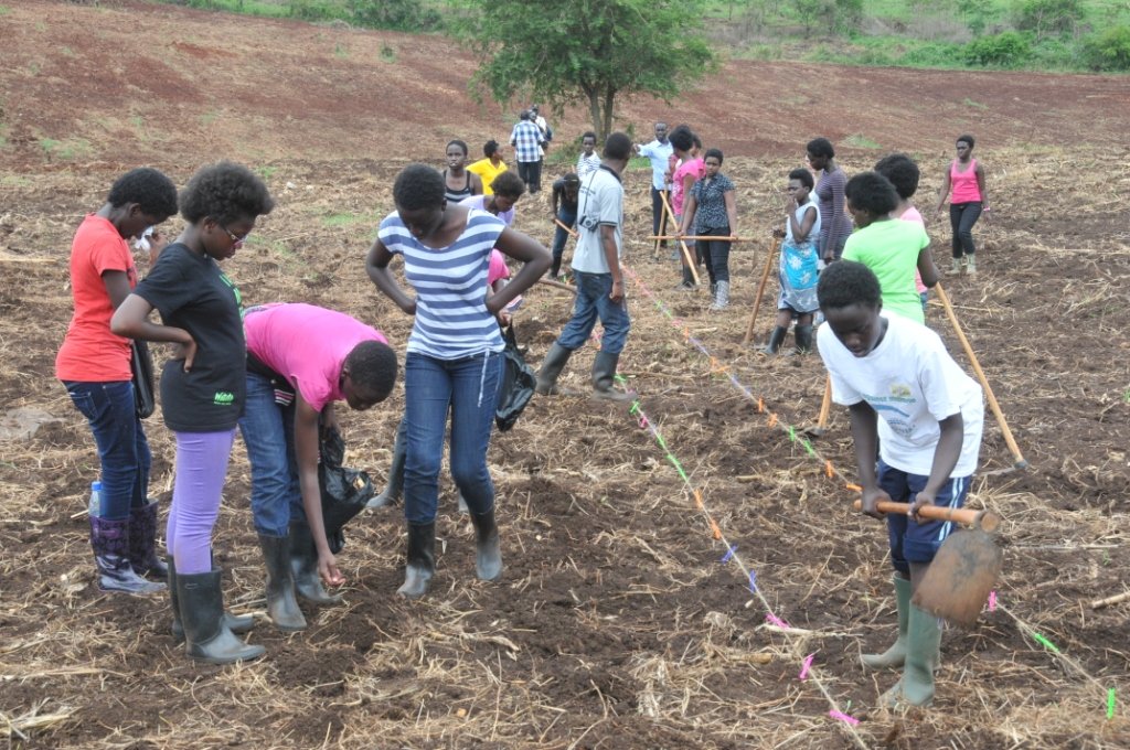 Support students in Uganda create an e-library