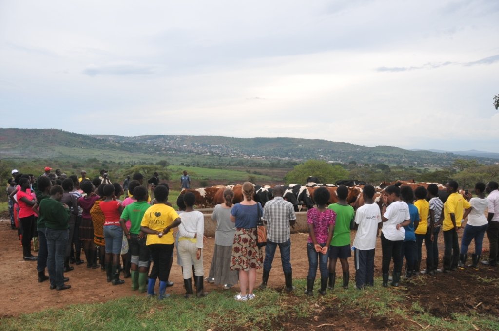 Support students in Uganda create an e-library