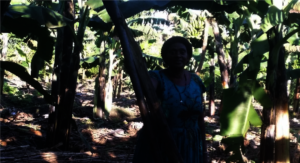 Donna in her newly established banana plantation.