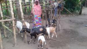 Jenny Caring for Her Goats at Home