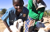 Goats for children affected by HIV/AIDS