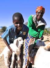 Goats for children affected by HIV/AIDS
