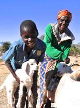 Goats for children affected by HIV/AIDS