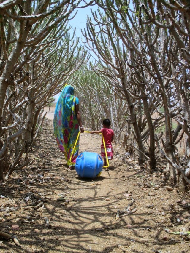Access to Water for 500 Rural Indian Families