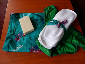 Pad kit-6 reusable pads, soap, knickers, carry bag