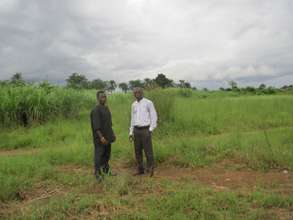 The land at Waterloo