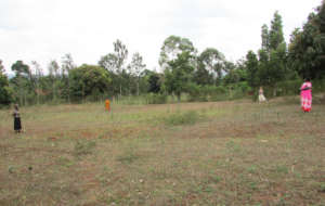 Carol and Christine Show Plot Markers for One Home