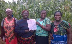Jinja Women's Land Committee Look at New Land Map