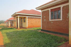 Imagine:  Similar homes built by local builder