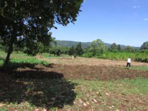 Women weeding their crops on new land - May 2016