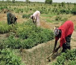 Farming