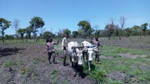 Food Security and Agriculture