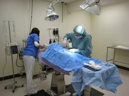 Life-Saving Medical Equipment for Spay/Neuter