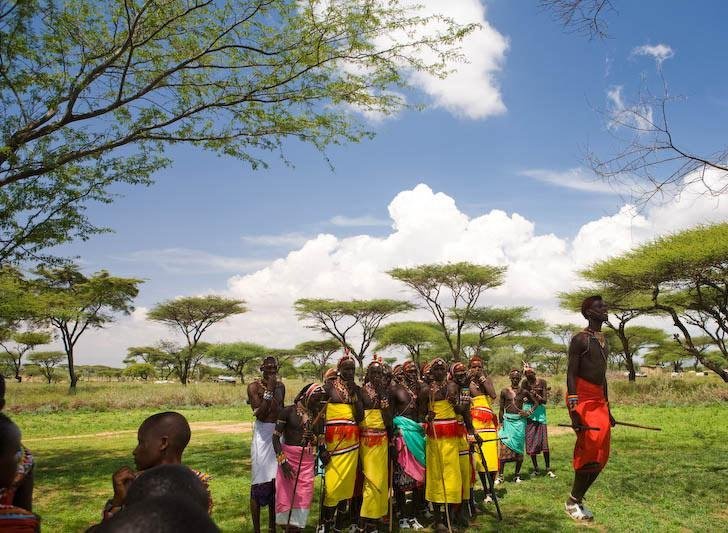 Help Save Elephants in Kenya!