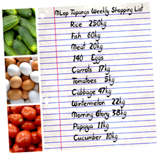 What a regular weekly shopping list looks like