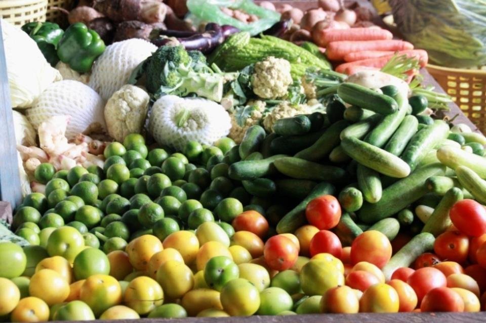 Hot lunches for 500 Cambodian children and youth