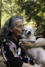 Feeding Pets of the Homeless provided for this dog