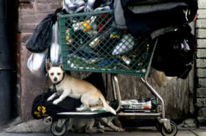 "She won't leave me behind"