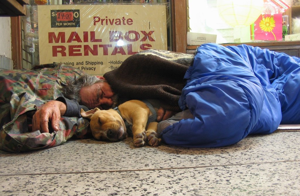 Emergency Veterinary Care for Pets of the Homeless - GlobalGiving