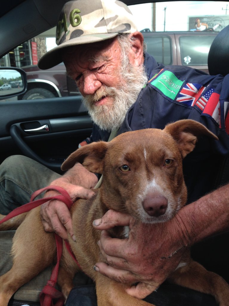 Emergency Veterinary Care for Pets of the Homeless