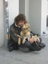 Emergency Veterinary Care for Pets of the Homeless