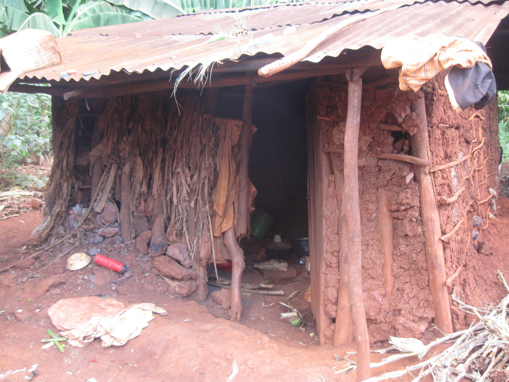 Provide shelter for 20 Ugandan Rural Grandmothers