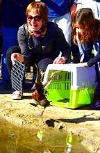 Our local community participating in our efforts