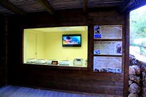 The Jerusalem Zoo's National Egg Incubation Center