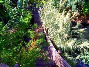 Marsh Aviary Exhibit, home to the breeding core