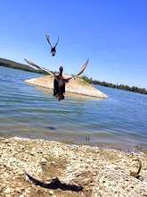 Diving Ducks flying to freedom in Tsor'a Valley