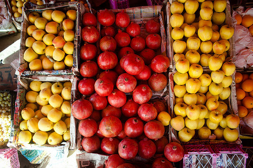 Soon our farmers will sell their fruit in markets.
