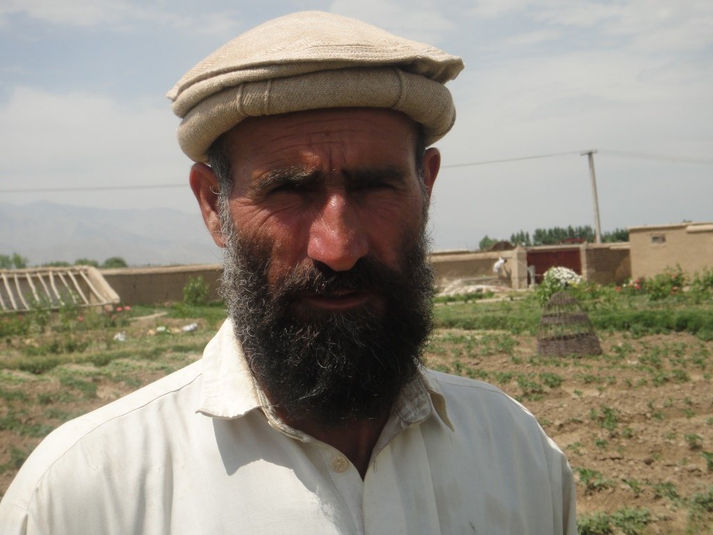 Help 50 Afghan Farmers Plant Fruit Trees