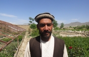 Help 50 Afghan Farmers Plant Fruit Trees