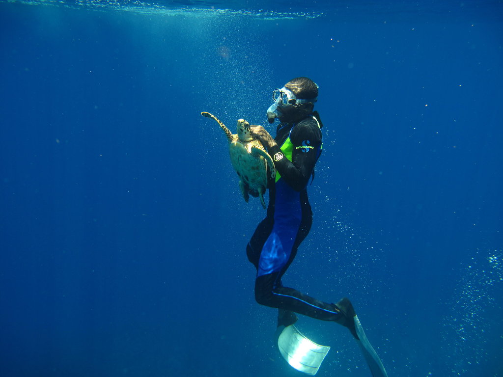Glover's Reef Research Station, Belize