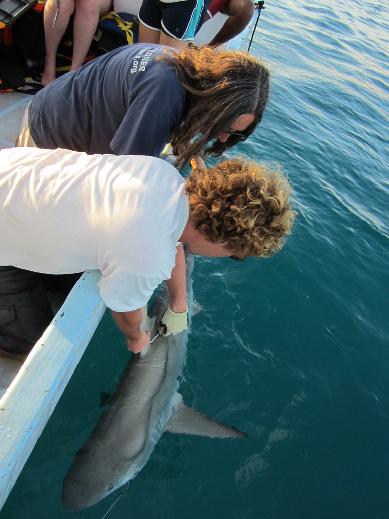 Glover's Reef Research Station, Belize