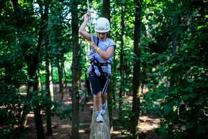 Exploring the Tree Tops