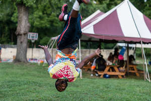 We Flip for Dragonfly Forest